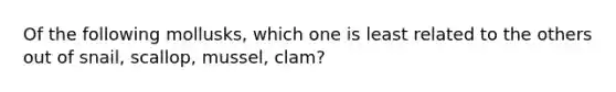 Of the following mollusks, which one is least related to the others out of snail, scallop, mussel, clam?