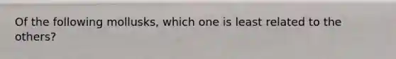 Of the following mollusks, which one is least related to the others?