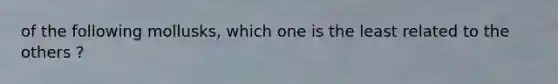 of the following mollusks, which one is the least related to the others ?