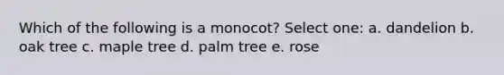 Which of the following is a monocot? Select one: a. dandelion b. oak tree c. maple tree d. palm tree e. rose