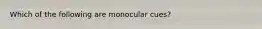 Which of the following are monocular cues?