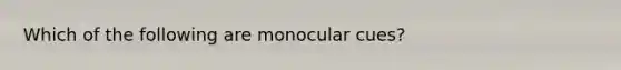 Which of the following are monocular cues?