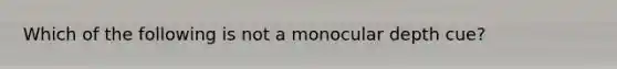 Which of the following is not a monocular depth cue?