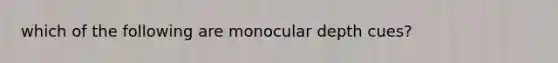 which of the following are monocular depth cues?