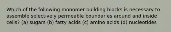 Which of the following monomer building blocks is necessary to assemble selectively permeable boundaries around and inside cells? (a) sugars (b) fatty acids (c) <a href='https://www.questionai.com/knowledge/k9gb720LCl-amino-acids' class='anchor-knowledge'>amino acids</a> (d) nucleotides