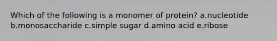 Which of the following is a monomer of protein? a.nucleotide b.monosaccharide c.simple sugar d.amino acid e.ribose