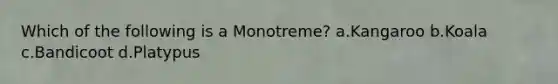 Which of the following is a Monotreme? a.Kangaroo b.Koala c.Bandicoot d.Platypus