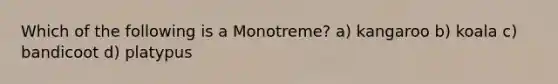Which of the following is a Monotreme? a) kangaroo b) koala c) bandicoot d) platypus