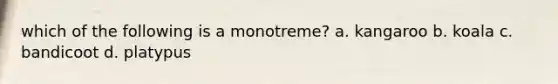 which of the following is a monotreme? a. kangaroo b. koala c. bandicoot d. platypus