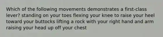 Which of the following movements demonstrates a first-class lever? standing on your toes flexing your knee to raise your heel toward your buttocks lifting a rock with your right hand and arm raising your head up off your chest