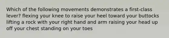 Which of the following movements demonstrates a first-class lever? flexing your knee to raise your heel toward your buttocks lifting a rock with your right hand and arm raising your head up off your chest standing on your toes