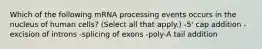 Which of the following mRNA processing events occurs in the nucleus of human cells? (Select all that apply.) -5' cap addition -excision of introns -splicing of exons -poly-A tail addition