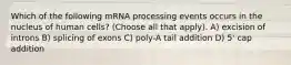 Which of the following mRNA processing events occurs in the nucleus of human cells? (Choose all that apply). A) excision of introns B) splicing of exons C) poly-A tail addition D) 5' cap addition