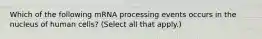 Which of the following mRNA processing events occurs in the nucleus of human cells? (Select all that apply.)