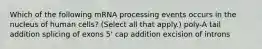 Which of the following mRNA processing events occurs in the nucleus of human cells? (Select all that apply.) poly-A tail addition splicing of exons 5' cap addition excision of introns