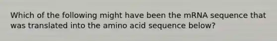 Which of the following might have been the mRNA sequence that was translated into the amino acid sequence below?