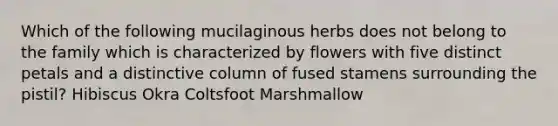 Which of the following mucilaginous herbs does not belong to the family which is characterized by flowers with five distinct petals and a distinctive column of fused stamens surrounding the pistil? Hibiscus Okra Coltsfoot Marshmallow