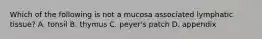 Which of the following is not a mucosa associated lymphatic tissue? A. tonsil B. thymus C. peyer's patch D. appendix