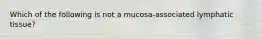 Which of the following is not a mucosa-associated lymphatic tissue?