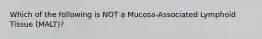 Which of the following is NOT a Mucosa-Associated Lymphoid Tissue (MALT)?