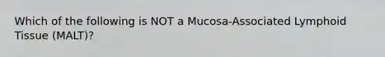 Which of the following is NOT a Mucosa-Associated Lymphoid Tissue (MALT)?