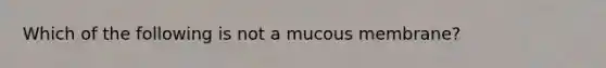 Which of the following is not a mucous membrane?