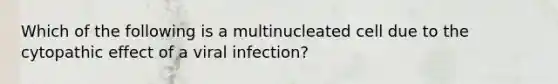 Which of the following is a multinucleated cell due to the cytopathic effect of a viral infection?