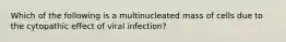 Which of the following is a multinucleated mass of cells due to the cytopathic effect of viral infection?