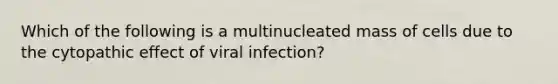 Which of the following is a multinucleated mass of cells due to the cytopathic effect of viral infection?