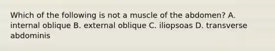 Which of the following is not a muscle of the abdomen? A. internal oblique B. external oblique C. iliopsoas D. transverse abdominis