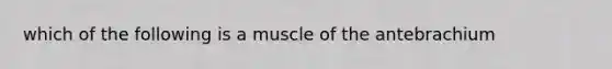 which of the following is a muscle of the antebrachium