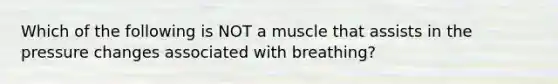 Which of the following is NOT a muscle that assists in the pressure changes associated with breathing?