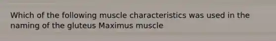 Which of the following muscle characteristics was used in the naming of the gluteus Maximus muscle