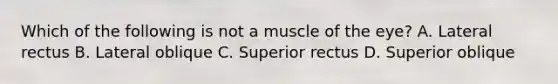 Which of the following is not a muscle of the eye? A. Lateral rectus B. Lateral oblique C. Superior rectus D. Superior oblique