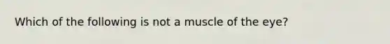 Which of the following is not a muscle of the eye?