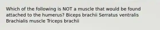 Which of the following is NOT a muscle that would be found attached to the humerus? Biceps brachii Serratus ventralis Brachialis muscle Triceps brachii