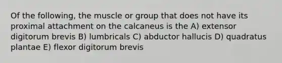 Of the following, the muscle or group that does not have its proximal attachment on the calcaneus is the A) extensor digitorum brevis B) lumbricals C) abductor hallucis D) quadratus plantae E) flexor digitorum brevis