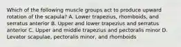 Which of the following muscle groups act to produce upward rotation of the scapula? A. Lower trapezius, rhomboids, and serratus anterior B. Upper and lower trapezius and serratus anterior C. Upper and middle trapezius and pectoralis minor D. Levator scapulae, pectoralis minor, and rhomboids