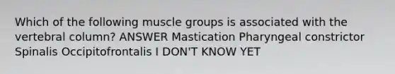 Which of the following muscle groups is associated with the vertebral column? ANSWER Mastication Pharyngeal constrictor Spinalis Occipitofrontalis I DON'T KNOW YET