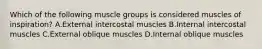 Which of the following muscle groups is considered muscles of inspiration? A.External intercostal muscles B.Internal intercostal muscles C.External oblique muscles D.Internal oblique muscles