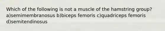 Which of the following is not a muscle of the hamstring group? a)semimembranosus b)biceps femoris c)quadriceps femoris d)semitendinosus