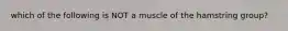 which of the following is NOT a muscle of the hamstring group?