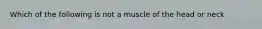 Which of the following is not a muscle of the head or neck