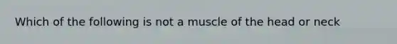 Which of the following is not a muscle of the head or neck