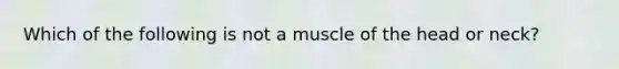 Which of the following is not a muscle of the head or neck?