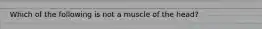 Which of the following is not a muscle of the head?