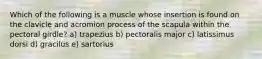 Which of the following is a muscle whose insertion is found on the clavicle and acromion process of the scapula within the pectoral girdle? a) trapezius b) pectoralis major c) latissimus dorsi d) gracilus e) sartorius