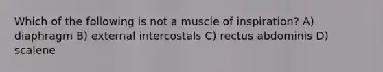 Which of the following is not a muscle of inspiration? A) diaphragm B) external intercostals C) rectus abdominis D) scalene