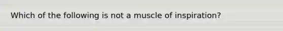 Which of the following is not a muscle of inspiration?