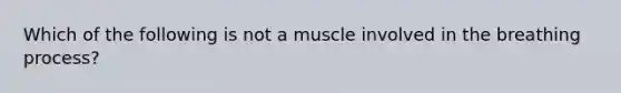 Which of the following is not a muscle involved in the breathing process?